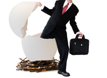 hatching-business.jpg