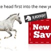 Save Money on Hosting and domains