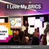 I Love My Brics
