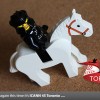 Blacknight attending ICANN 45 in Toronto