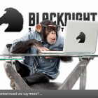 Web Monkey Wanted