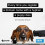 Every Time You Register A Domain Name with a Hyphen, a Puppy Dies