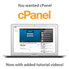 You Wanted cPanel