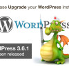 Please Upgrade your WordPress Installs
