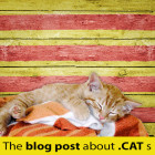 About Cats