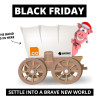 Black Friday Special Offer