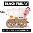 Black Friday Special Offer