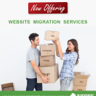 Website Migration Service