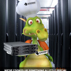 Save big on dedicated servers