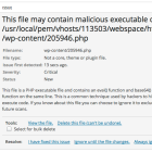 Suspicious Files in WordPress